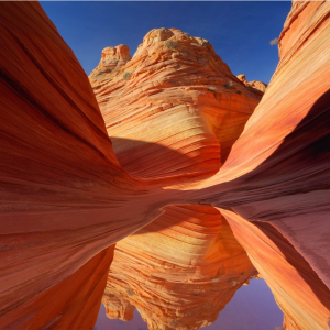 Nevada